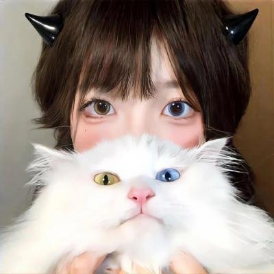 广东五虎之铁拳无敌孙中山