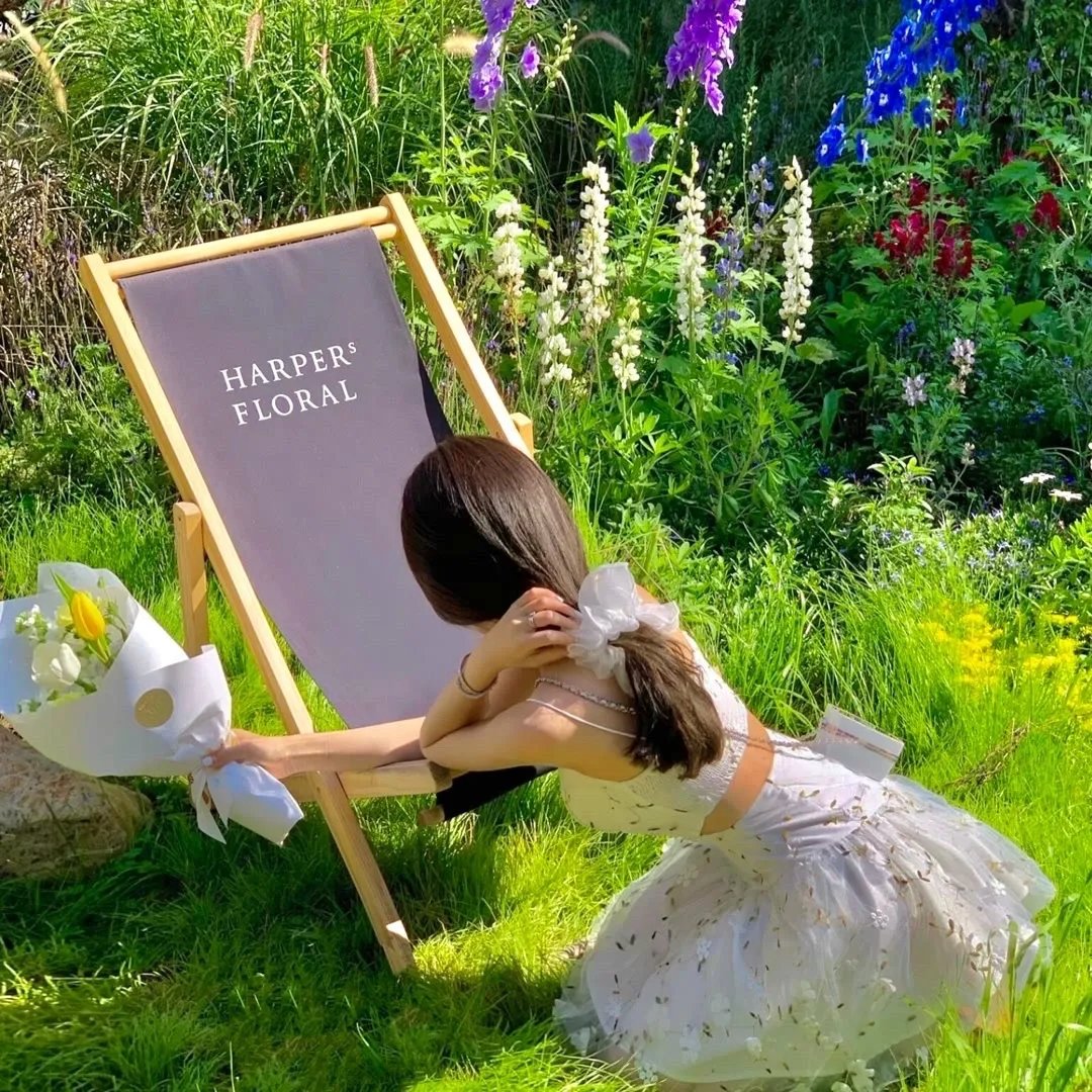 我的总裁老公豪又帅